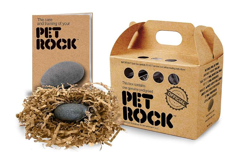 Everything shops Everywhere Pet Rock™