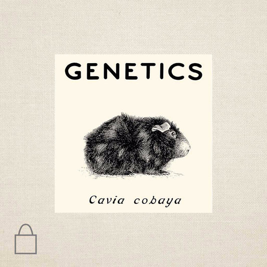 Genetics & Guinea Pigs