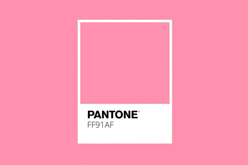 Drunk Tank Pink – REMO Since 1988