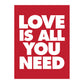 Love is all You Need Crop T Shirts for Women