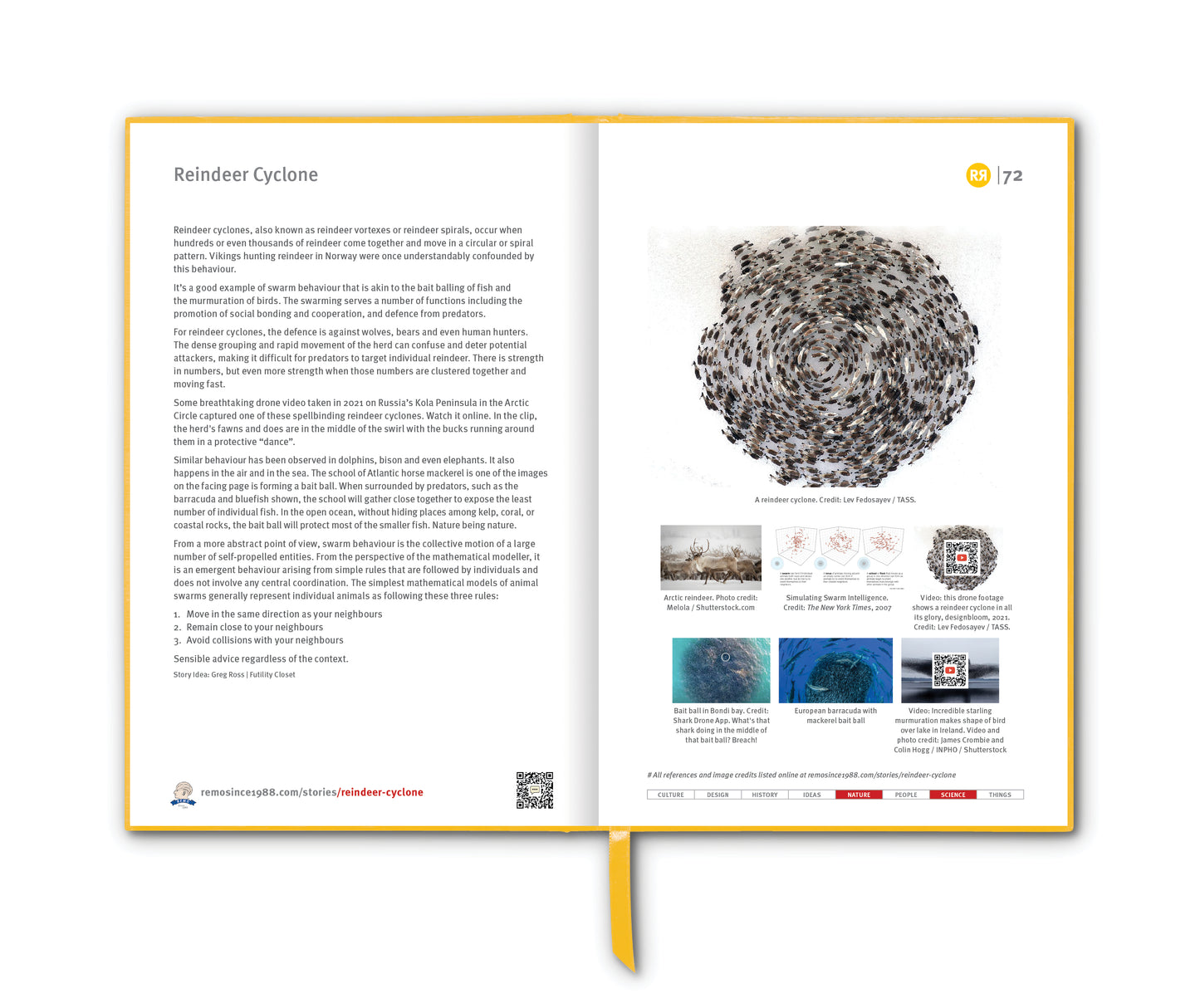 REMORANDOM 3 | Printed Book