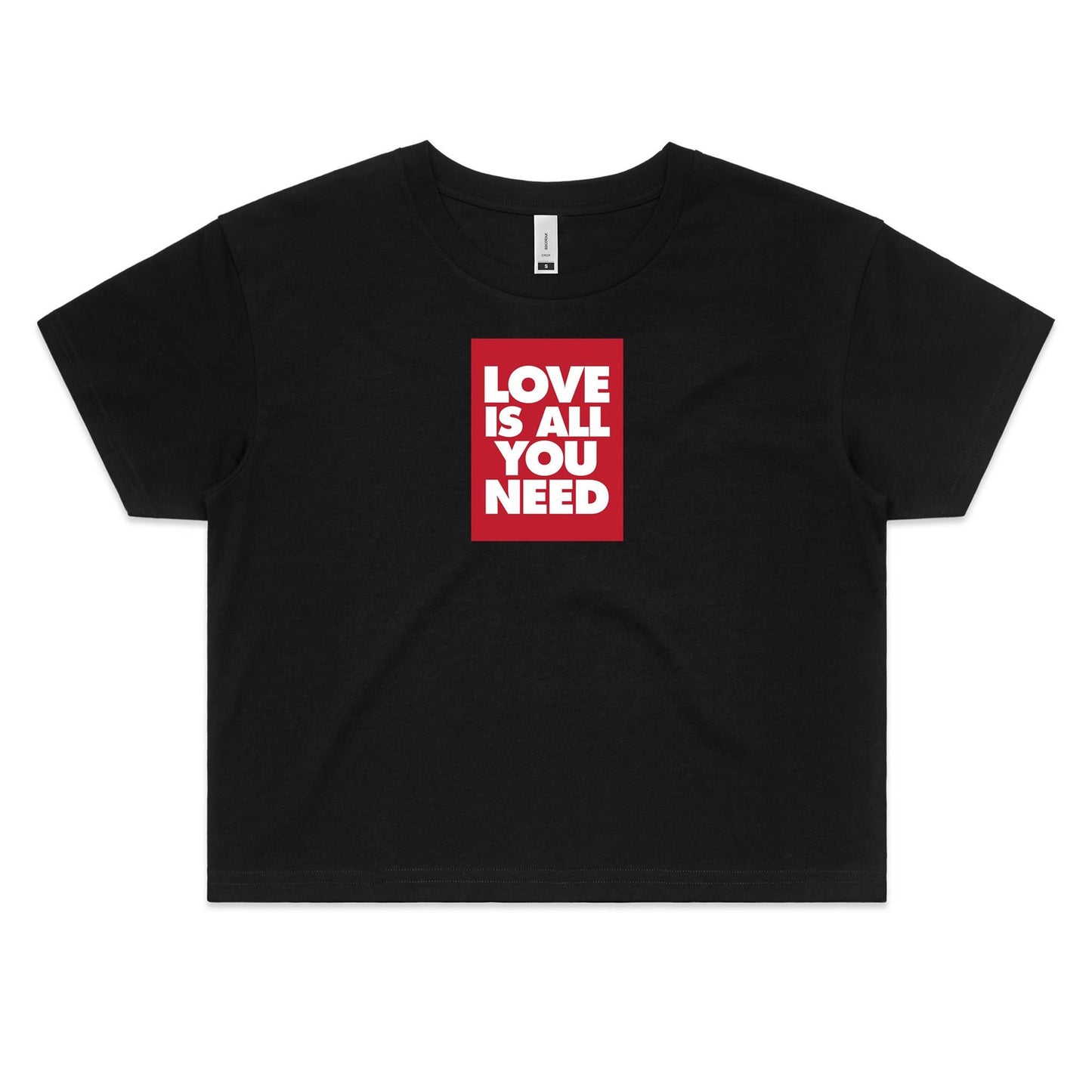 Love is all You Need Crop T Shirts for Women