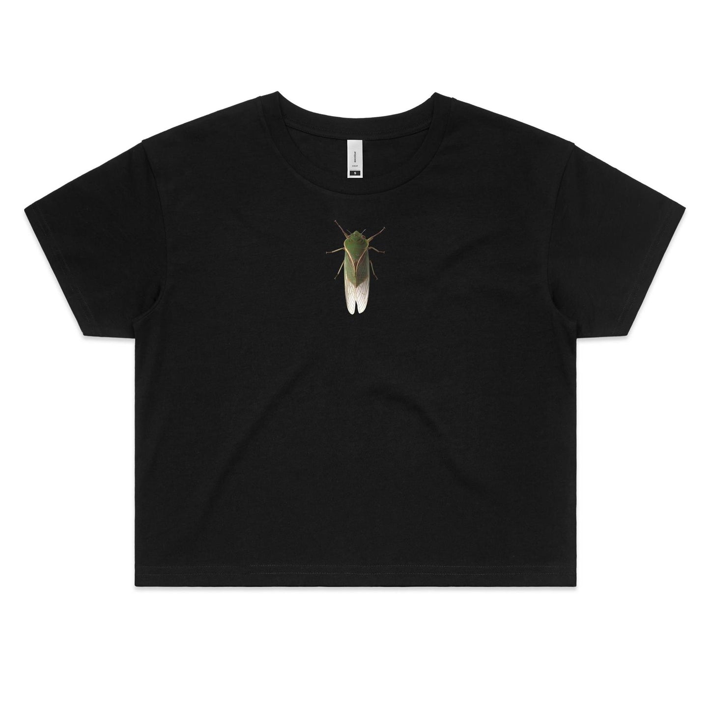 The Little Guy Crop T Shirts for Women