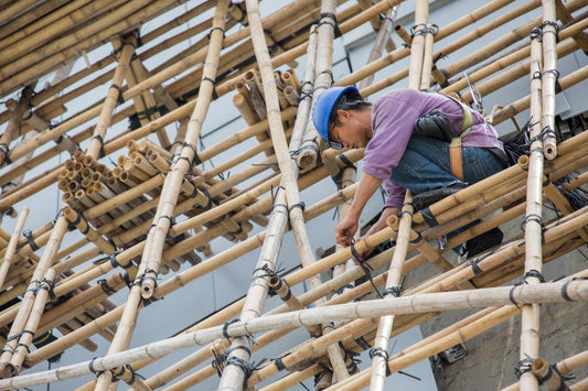 Bamboo