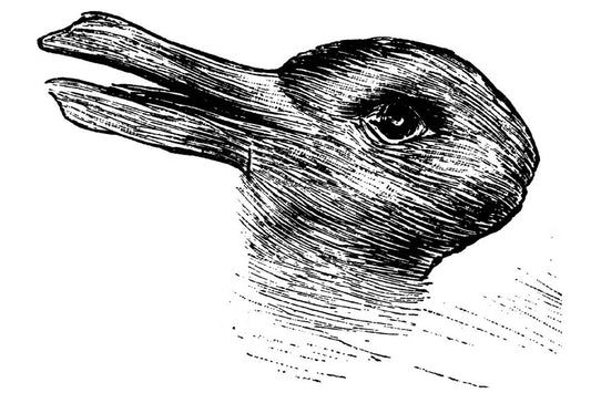 Duck-Rabbit Illusion