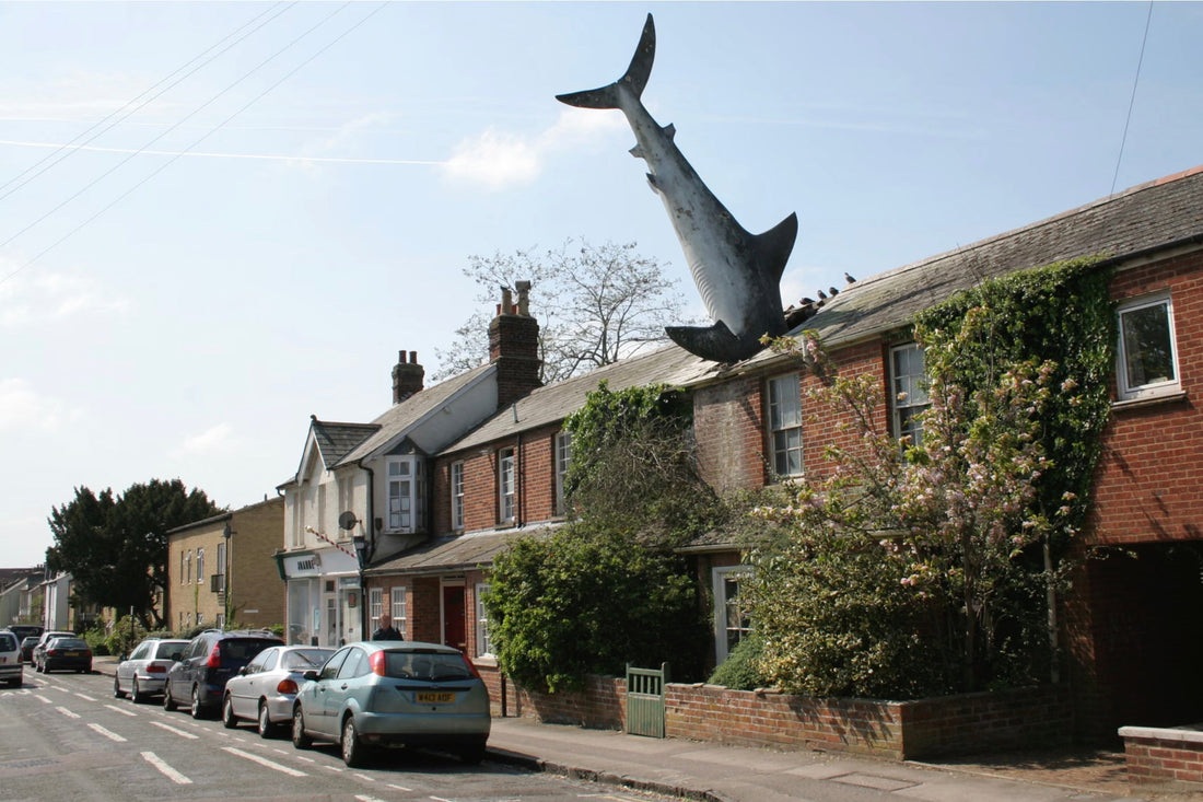 Headington Shark