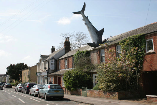 Headington Shark