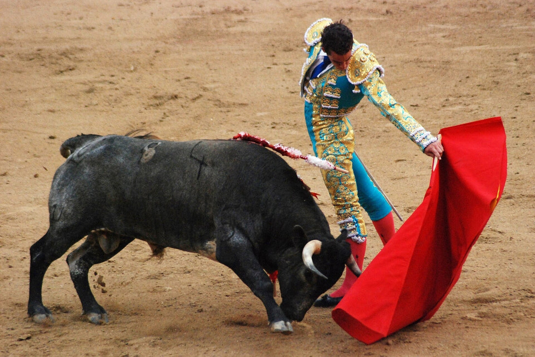 Bullfighting