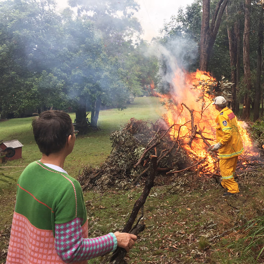 Wallplanners in the Wild