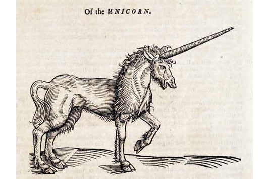 Unicorn