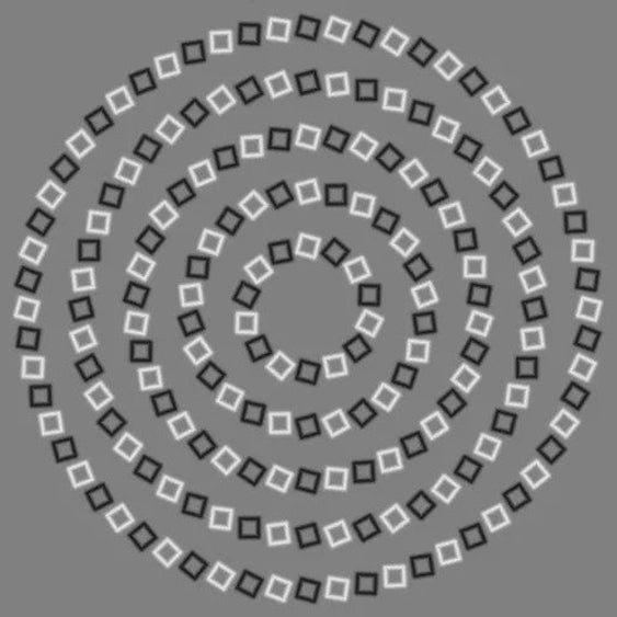 Pinna's Illusory Spiral