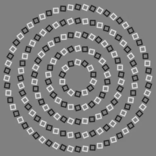 Pinna's Illusory Spiral