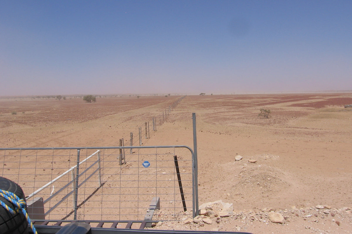 Rabbit-Proof Fence – REMO Since 1988
