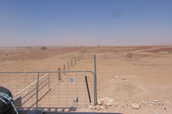 Rabbit-Proof Fence – REMO Since 1988