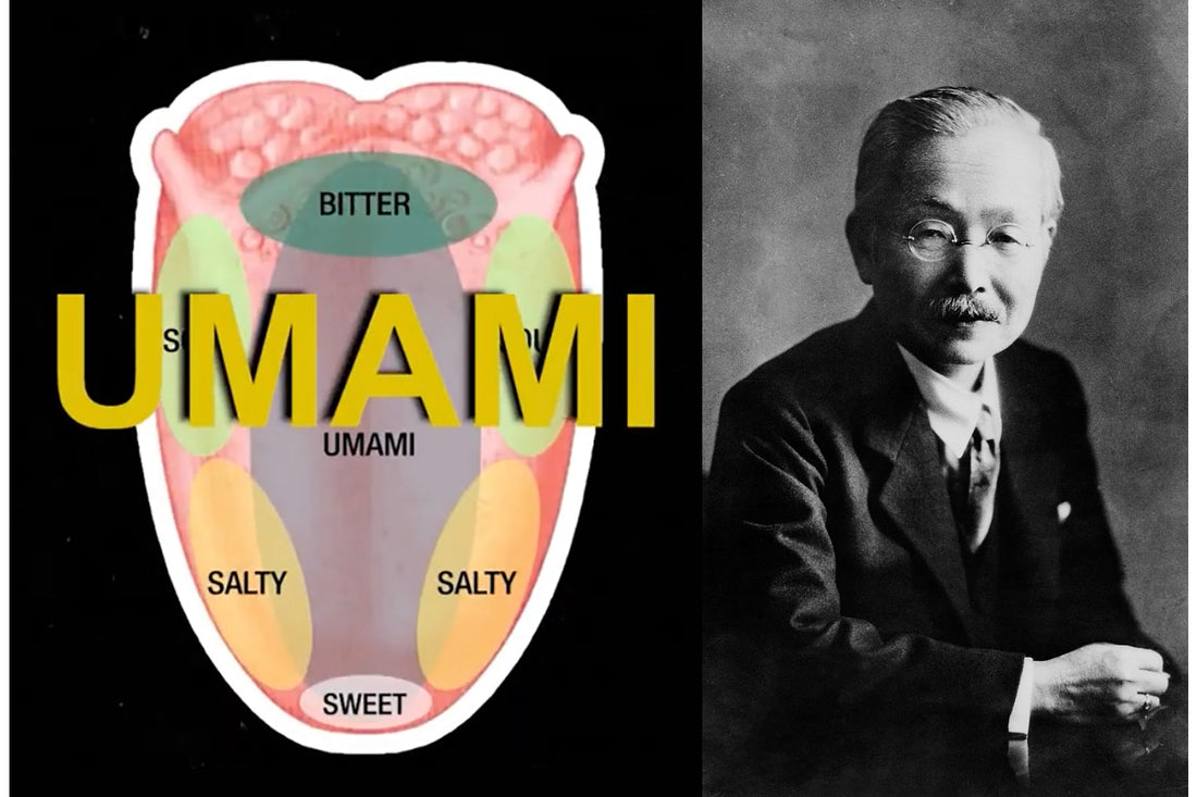 Umami