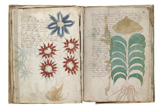 The Voynich Manuscript