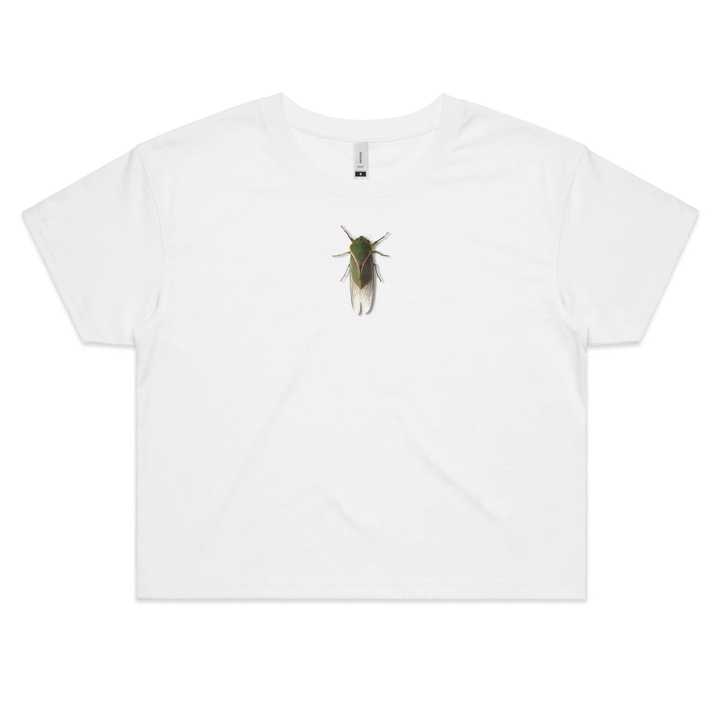 The Little Guy Crop T Shirts for Women