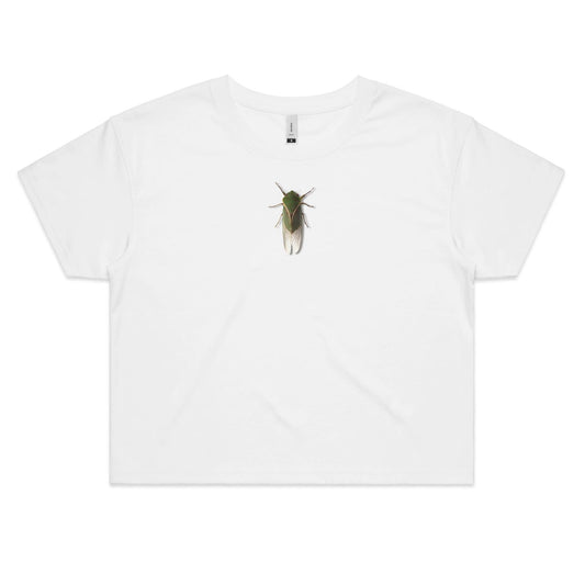 The Little Guy Crop T Shirts for Women
