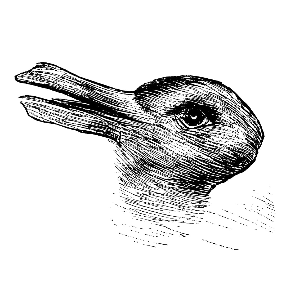 Duck-Rabbit Enamel Mug