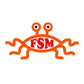 FSM Colour Enamel Mug
