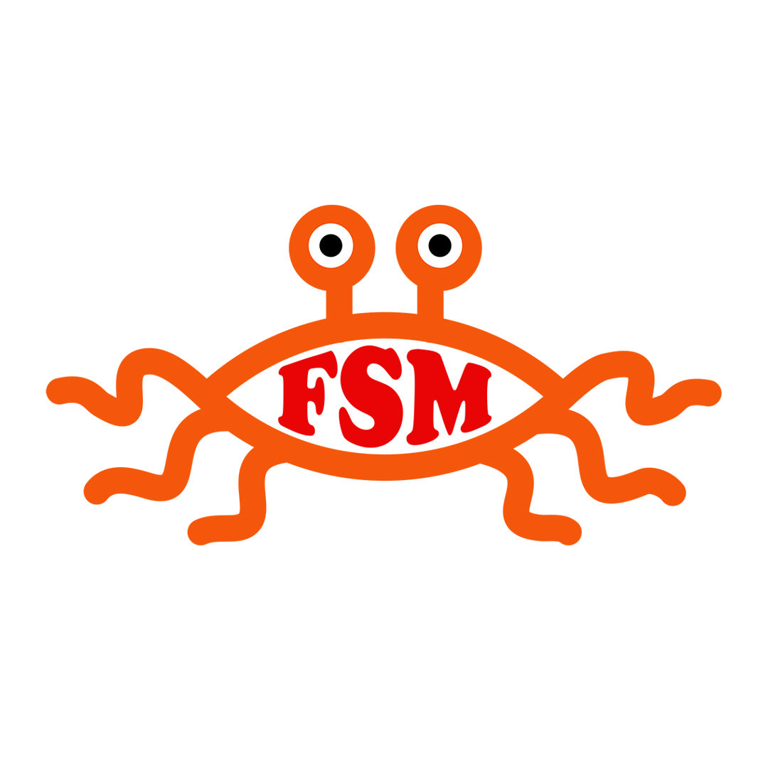 FSM Colour Enamel Mug