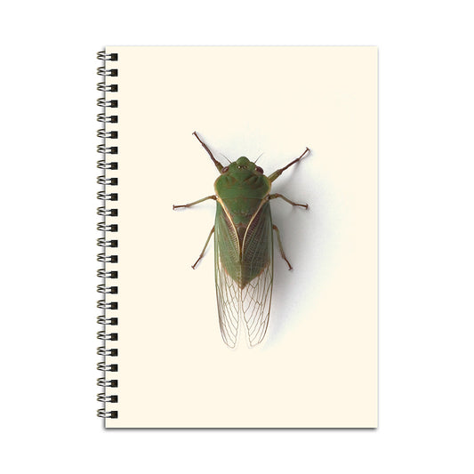 The Little Guy Notebook